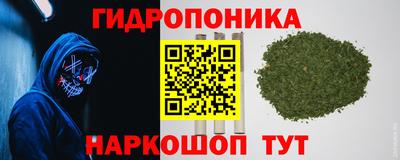 a pvp Гусев