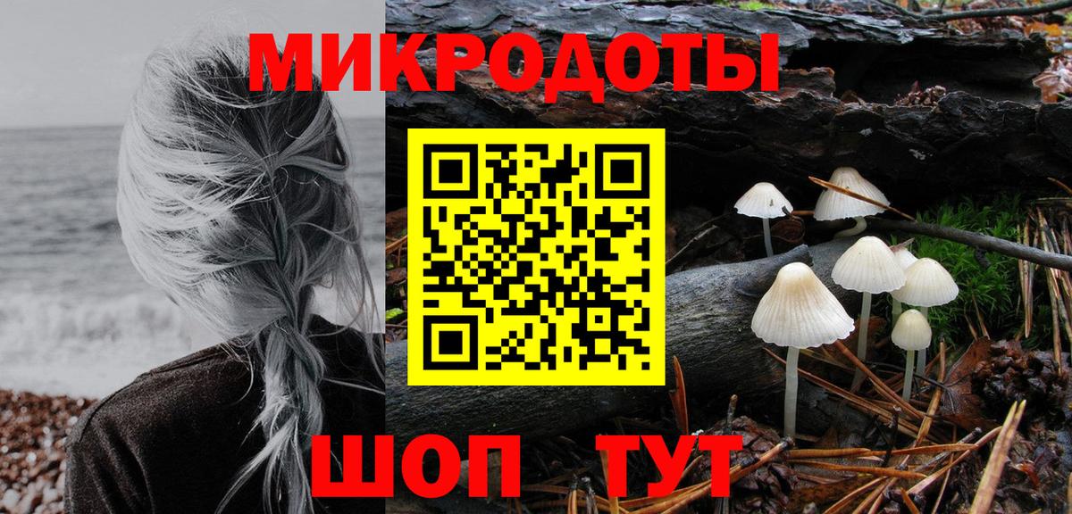 Медногорск  Псилоцибиновые грибы Psilocybine cubensis  Вход с VPN 
